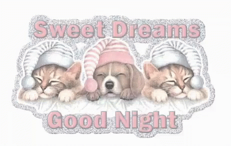Good Night Sweet Dreams GIF - Good Night Sweet Dreams Dogs GIFs