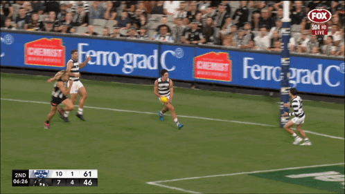 Ollie Ollie Henry GIF - Ollie Ollie Henry Darcy Moore GIFs