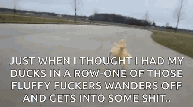 Duck Run GIF