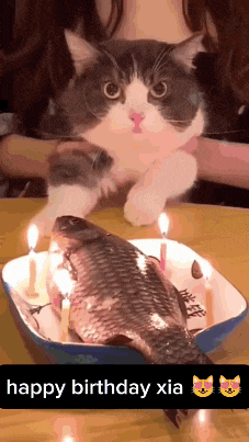 a cat sitting on top of a fish with candles on it and the words happy birthday xia below it