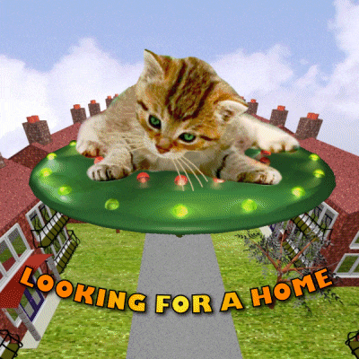 a cat in a green ufo with the words looking for a home