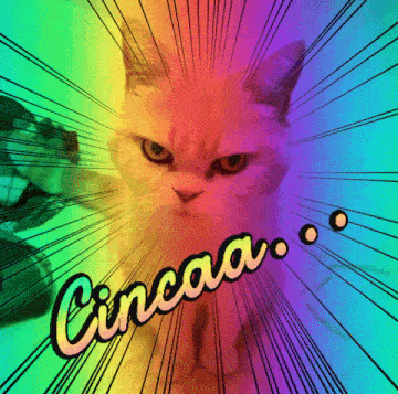 a cat with a rainbow background and the word cincaa above it