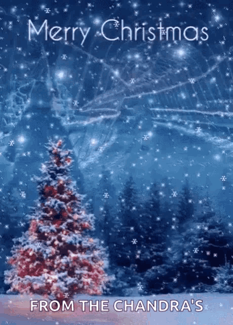 a merry christmas card with a christmas tree in the background