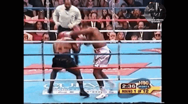 two boxers are fighting in a boxing ring with a sign that says hbc sports round 1 of 12