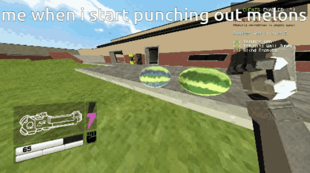a screenshot of a video game with the words " me when i start punching out melons " at the top
