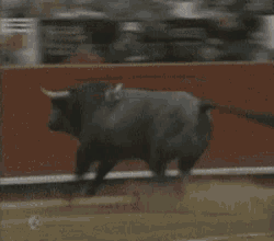 a bull with a speech bubble saying bullshit