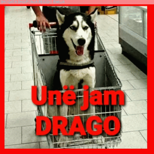 Drago Aps GIF - Drago Aps GIFs