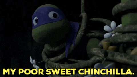 a teenage mutant ninja turtle is surrounded by vines and says my poor sweet chinchilla
