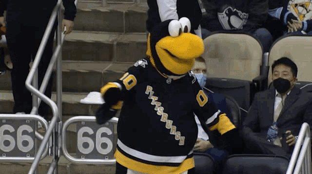 Pittsburgh Penguins Iceburgh GIF - Pittsburgh Penguins Iceburgh Dancing GIFs