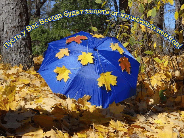 a blue umbrella with leaves on it is surrounded by yellow leaves and a tree with russian writing on it