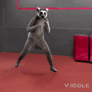 Lemur Vash GIF - Lemur Vash GIFs