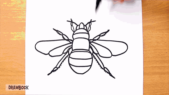 a person is drawing a bee on a piece of paper with drawbook in the corner
