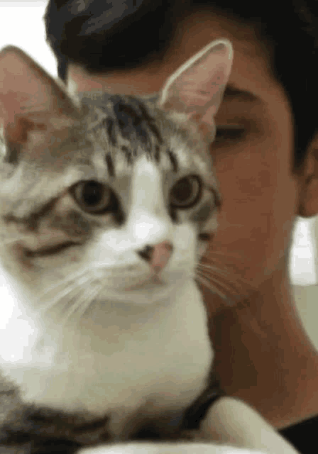 a young boy holds a cat in his arms and the cat looks at the camera