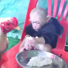 a monkey sits in a red chair next to a chicken