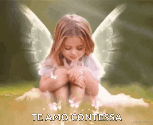 a little girl with angel wings is sitting in the grass with butterflies around her .