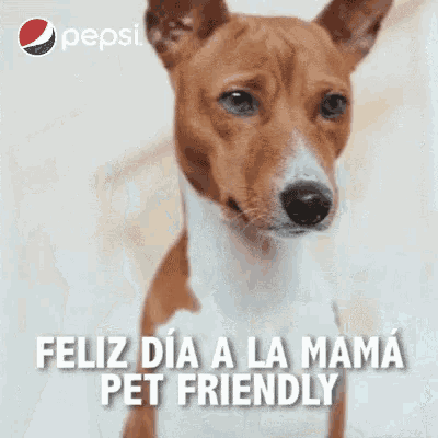 a person is petting a brown and white dog with the words feliz dia a la mama pet friendly on the bottom .