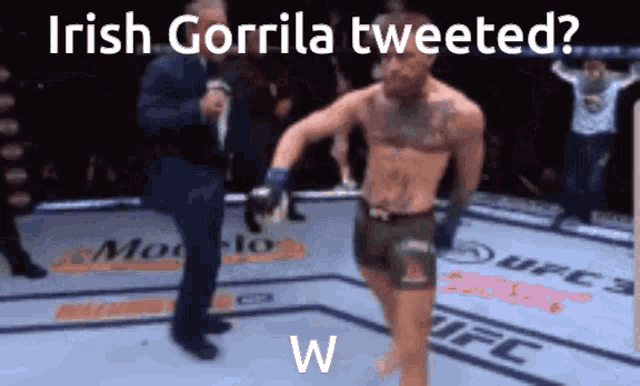 a man in a boxing ring with the words irish gorilla tweeted on the bottom