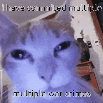 War Crime Cat GIF