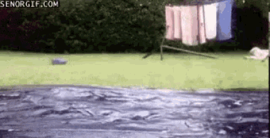 a bunch of clothes are hanging on a clothes line in a yard .