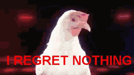 a white chicken with the words " i regret nothing " in red