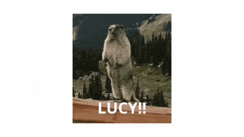 a ground squirrel standing on its hind legs with the words lucy written below it