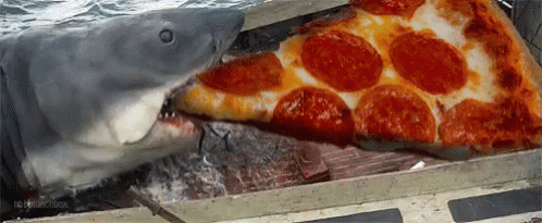 Shark Fish GIF - Shark Fish Pizza GIFs