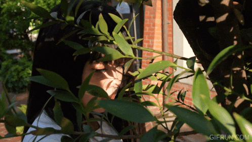 a gif from gifrun.com shows a woman looking through a tree