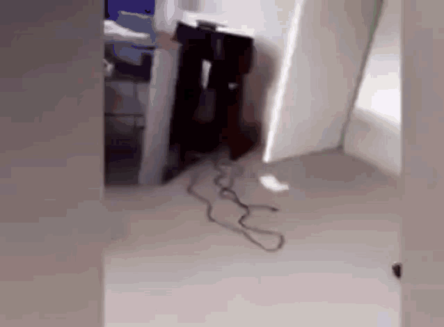 a snake is crawling on the floor of a room next to a table .