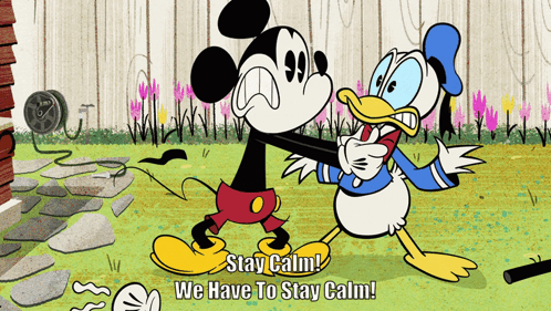 Stay Calm Mickey Mouse GIF - Stay Calm Mickey Mouse Donald Duck GIFs
