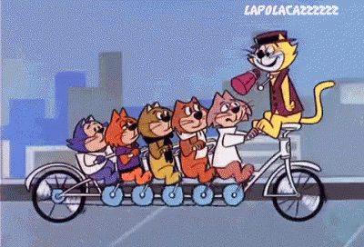 Cats Cartoon GIF - Cats Cartoon Bike GIFs