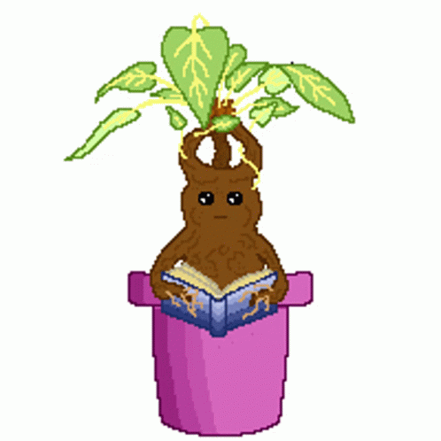 Mandragora Mandragula Sticker - Mandragora Mandragula Harry Potter -  Discover & Share GIFs