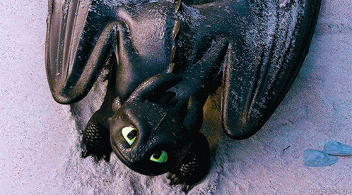Httyd How To Train Your Dragon GIF - Httyd How To Train Your Dragon Toothless GIFs