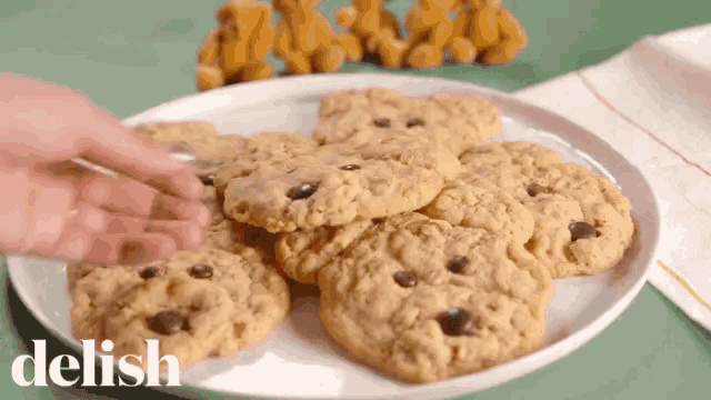 Cookie Bear GIF - Cookie Bear Oatmeal GIFs