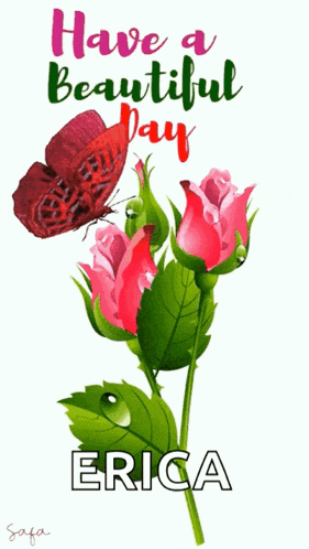 a butterfly is perched on a pink rose with the words have a beautiful day erica