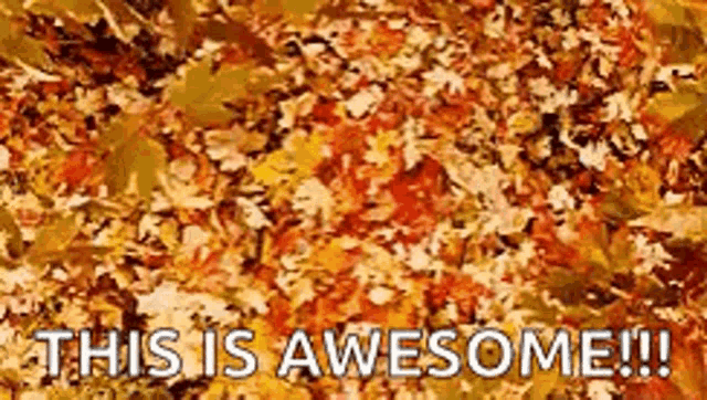 This Is Awesome Happy GIF - This Is Awesome Happy Leaves GIFs