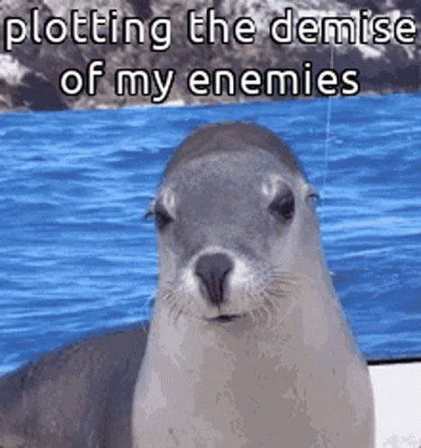 Animals With Captions Evil Seal GIF - Animals With Captions Evil Seal Seal GIFs