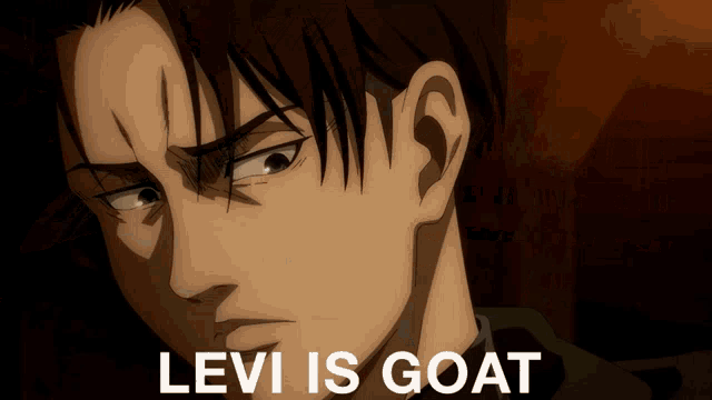 a close up of a man 's face with the words levi is goat above him