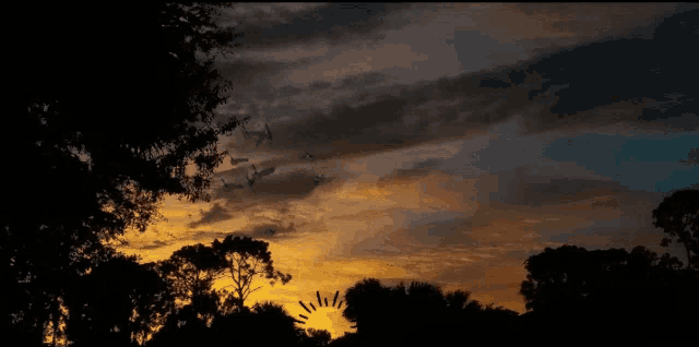 a sunset with trees in the foreground and a sun shining through the clouds