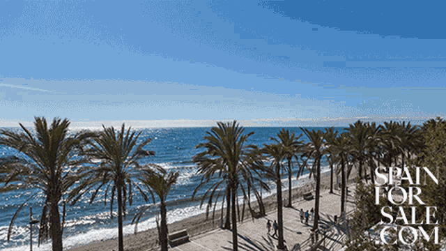 Nos Vemos Spain For Sale GIF - Nos Vemos Spain For Sale Marbella GIFs