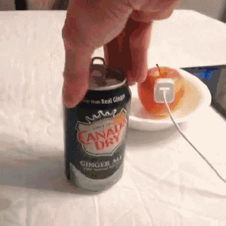 Ginger Ale Canada Dry GIF - Ginger Ale Canada Dry Battery GIFs