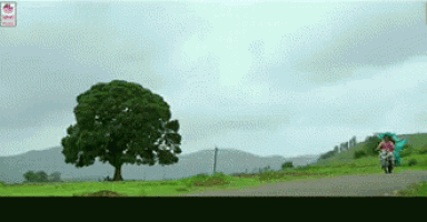 a person is riding a motorcycle down a dirt road with a tree in the background