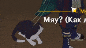 a person standing next to a cat that is laying on the ground and says may ?