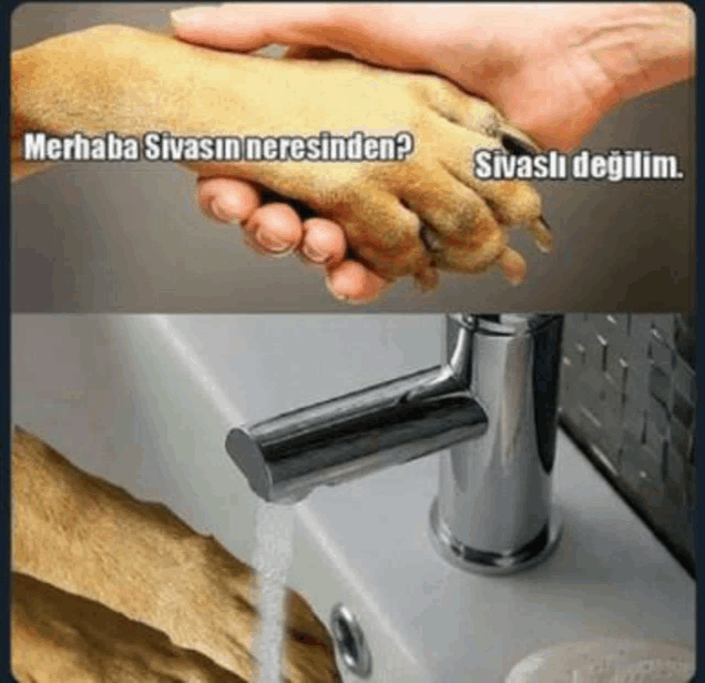 a picture of a person shaking a dog 's paw next to a picture of a sink faucet
