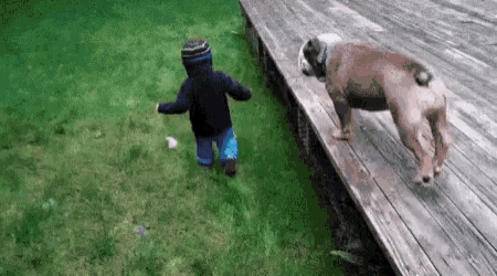 a boy and a dog are playing on a deck