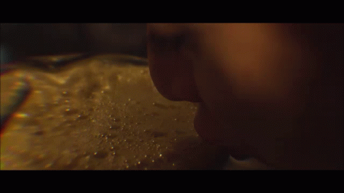 Fiesta Party GIF - Fiesta Party Beer GIFs