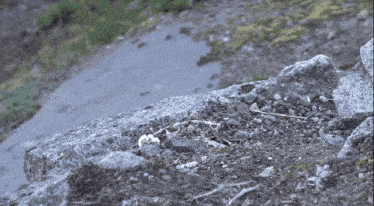 a pile of rocks and dirt on the ground with a few flowers in the middle