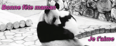 Bonne Fête Des Mères GIF - Panda Hug Love GIFs