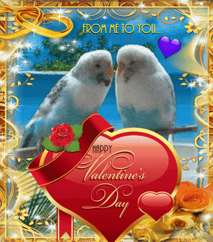 a happy valentine 's day card with two birds