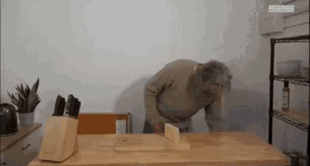 an older man is cutting a piece of cheese on a cutting board .