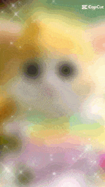 a close up of a cat 's face with a caption that says " capcut "